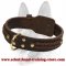 Center D-Ring Leather Dog Collar for Working Dogs