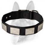 Brand Nylon Collar for Working Dog Breeds - Fancy Collar with Massive Plates