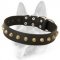 Gorgeous Wide Leather Pyramid Studded Dog Collar for All Dog Breeds