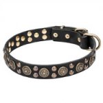"Boho Style" Leather Dog Collar with Massive Brass Decorations