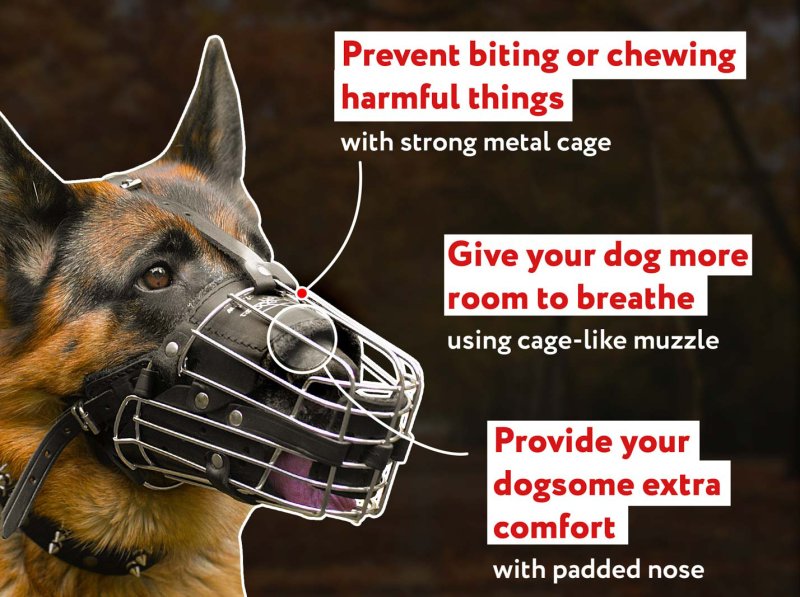 Wire Cage Dog Muzzle with Leather Lining