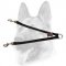 Stitched Nylon Coupler for Walking 2 Dogs