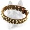 Studded and Spiked Leather Dog Collar With Multiple Capabilities for All Dog Breeds