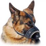 Leather Nappa Padded Dog Muzzle -Professional Pick for Any Dog Breed