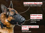 Rottweiler Everyday Leather Comfortable Dog Muzzle