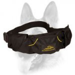 Convenient Dog Training Pouch for Treats and Toys