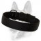 2 Ply Nylon Safe Dog Training Collar