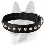 Gorgeous Wide Nylon Dog Collar With Nickle Pyramids
