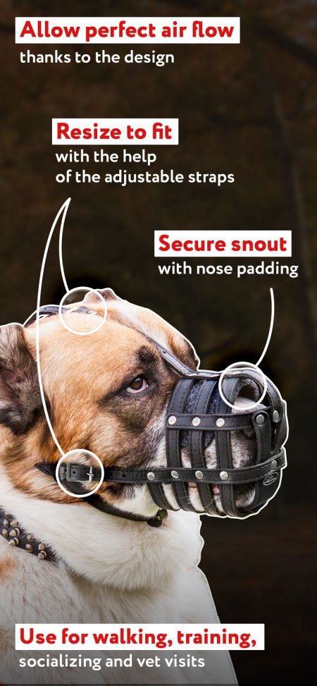 where to buy muzzles