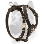 Leather Studded Puppy Harness for Safe Walking