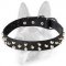 Fancy Design Dog Leather Collar
