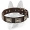 Winner Stylish Dog Leather Collar