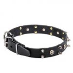 Leather Dog Collar with Skulls and 2 Rows of Spikes