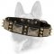Superb Leather Dog Collar Decorated with Massive Plates and Brass-Coated Spikes
