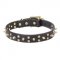 Leather Dog Collar with Brass Stars and Spikes