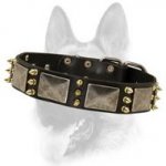 Superb Leather Dog Collar Decorated with Massive Plates and Brass-Coated Spikes
