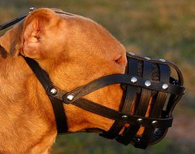 Pitbull Super Ventilation Large Leather Muzzle