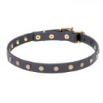 Elegant Leather Dog Collar with Brass Decorations