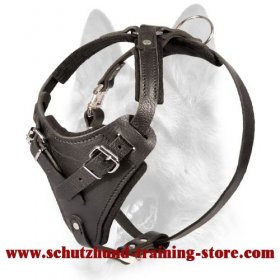 Schutzhund Dog Harness-Agitation/Protection Leather Friendly Dog Harness