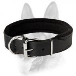 Schutzhund Padded Leather Dog Collar with Thick Felt for All Dog Breeds