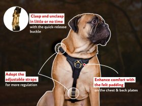 Tracking / Walking Leather Dog Harness-Padded Design Schutzhund Harness