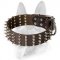Genuine Leather Spiked Dog Collar