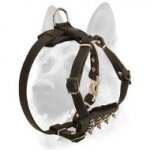 Comfortable and Safe Leather Spiked Harness for Puppies