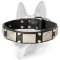 New Look Dog Leather Collar Decorated with Plates and Pyramids