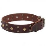 'Egypt Treasure' Leather Dog Collar