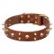 Natural Leather Dog Collar with Brass Spikes and Skulls