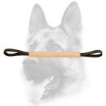 Superb Leather Bite Tug for Puppy Training