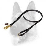 Durable Nylon Dog Training Leash