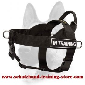 Heavily Stitched Nylon Professional Dog Harness