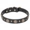 Stylish Leather Dog Collar with Brass Circles and Small Studs