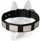 Brand Nylon Collar for Working Dog Breeds - Fancy Collar with Massive Plates