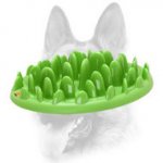 "Grassy Plate" Interactive Pet Feeder for All Dog Breeds