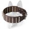 2 inch Leather Dog Collar with Studs and Spikes for Working Dogs