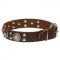 'Ace Style' Leather Dog Collar with Fancy Decor