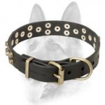 Attractive Stylish Leather Dog Collar for Working Canine