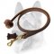 Professional Dog Training Leather Leash