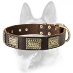 Designer Leather Dog Collar for Working Canines