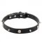 Leather Dog Collar with Nickel Plated Spikes and Skulls