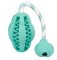 Melon Shape Dog Toy on String - Small