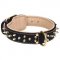 Skillfully Decorated Training Leather Dog Collar for All Dog Breeds