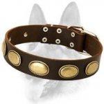 High Quality Gorgeous Vintage Dog Leather Collar