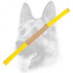 Soft Genuine Leather Dog Bite Tug