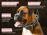 Center D-Ring Leather Dog Collar for Working Dogs
