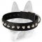 Great Nylon Collar with 1 Row Studs - Canine Collar for Schutzhund Dog Breeds