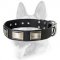 Extremely Fashionable Training Leather Dog Collar for Your Schutzhund Breed