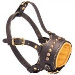 Studded Leather Dog Muzzle for Obedience Training